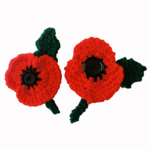 remembrance day poppies