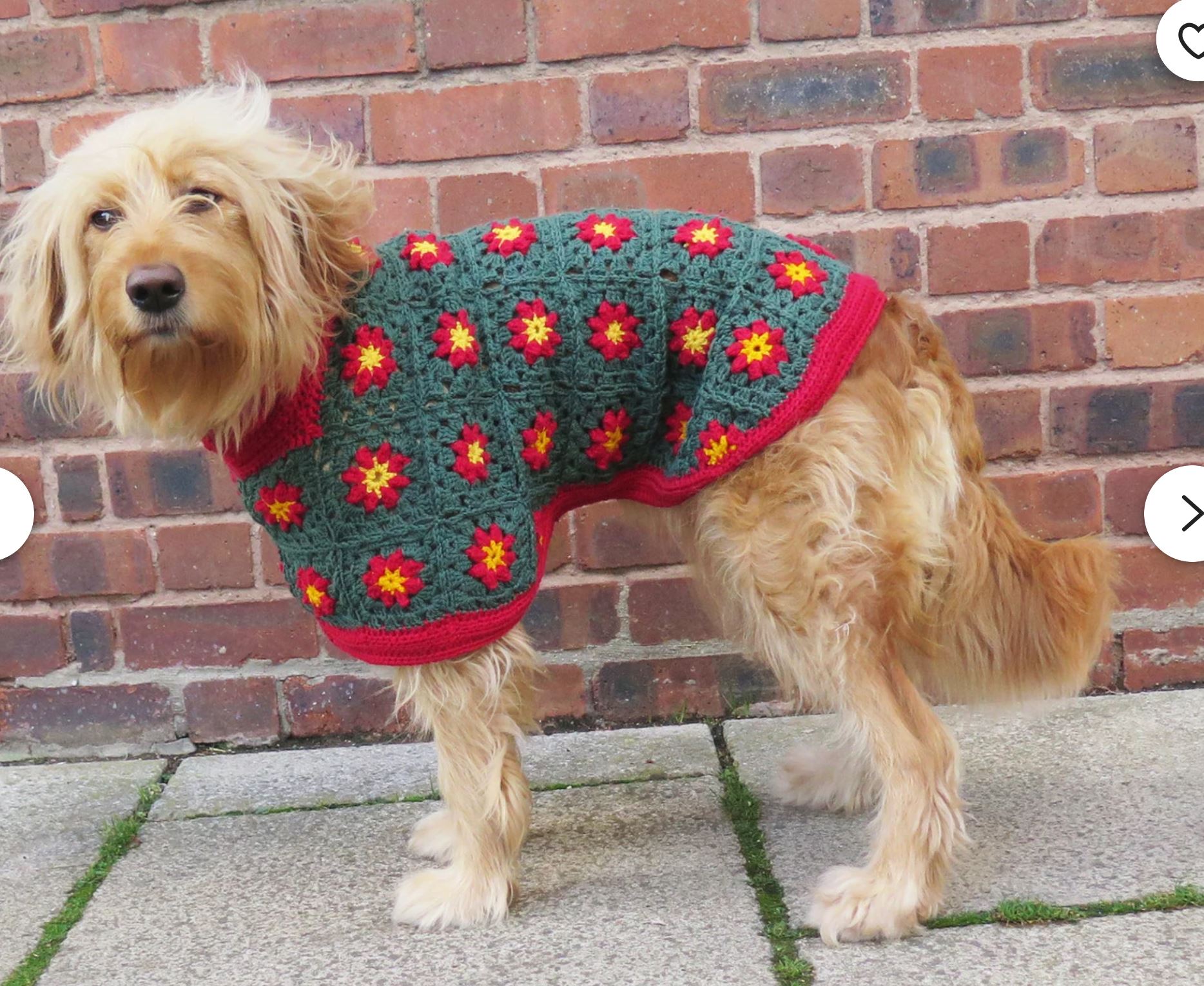 betty's dog coat