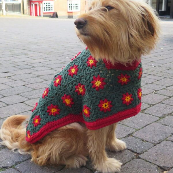crochet dog coat