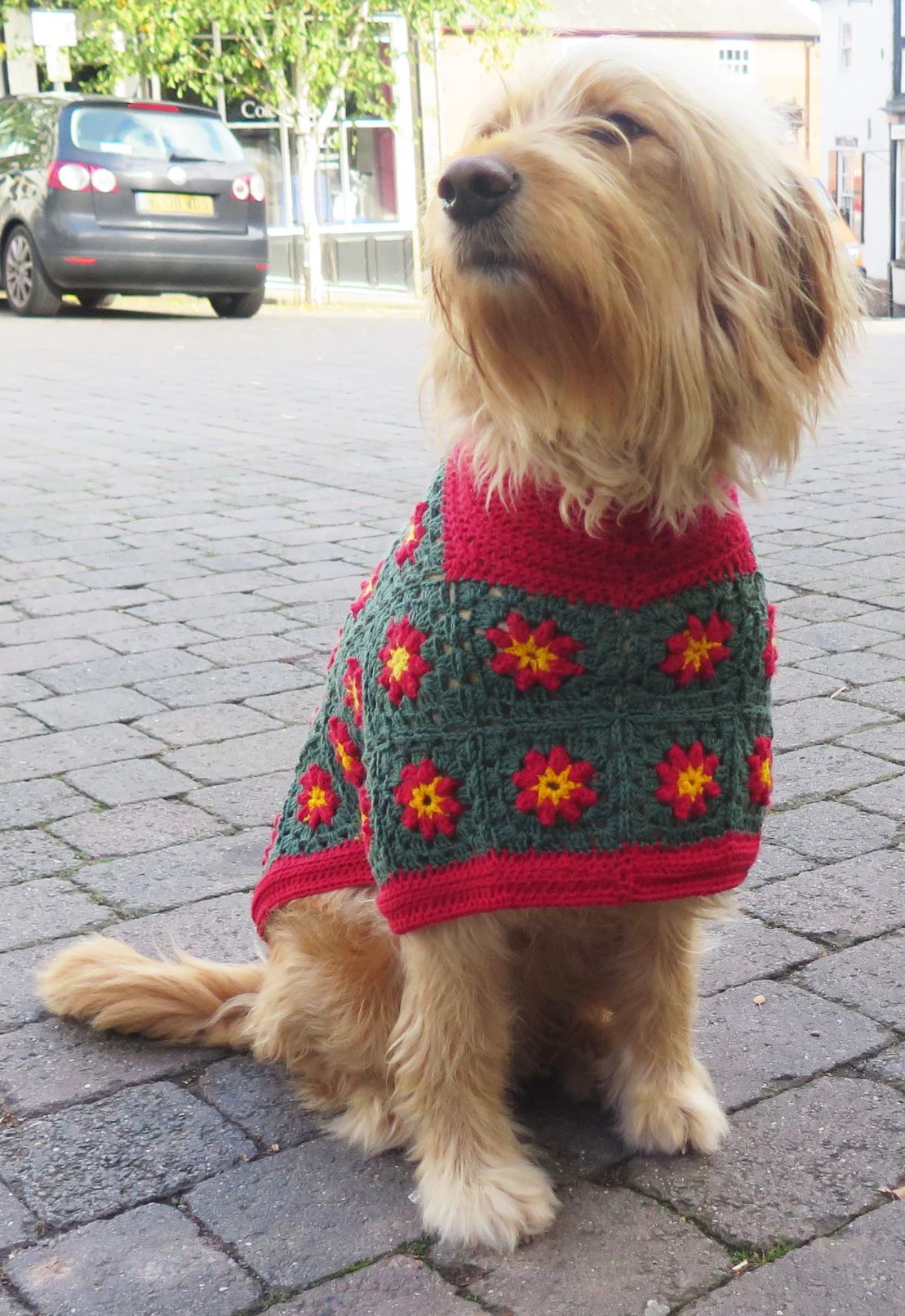 crochet dog coat